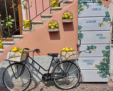 Ein Fahrrad mit Zitronen im Korb lehnt an einer orangenen Wand. 